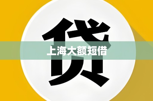 上海大额短借