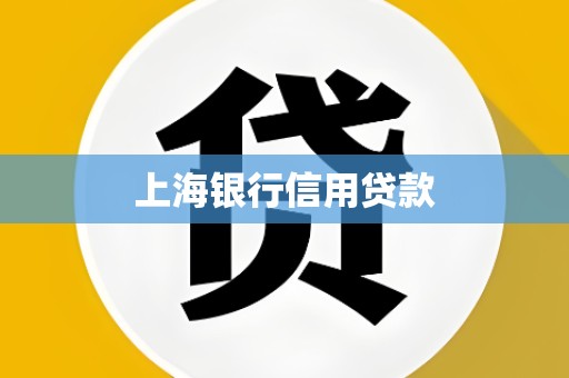 上海银行信用贷款